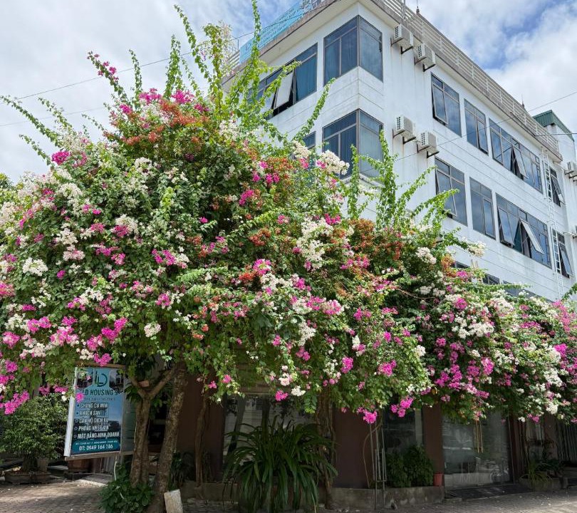 Dong Son Hotel | LD Housing 9