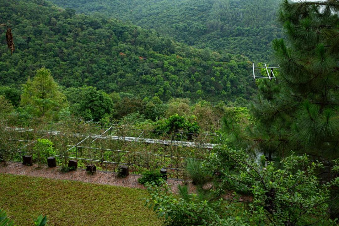 Ky Son Villa | Mường Zen Villa