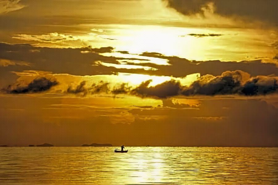 Photo of Others in Ham Ninh