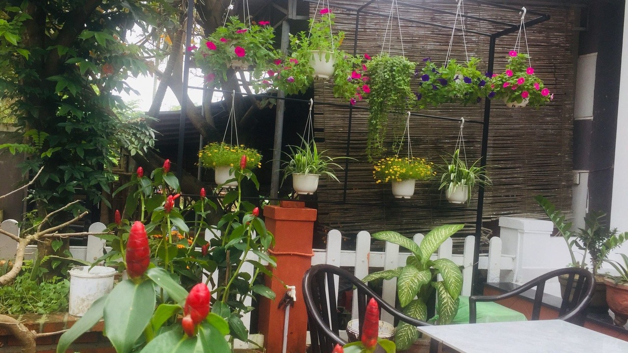 Photo of Patio Balcony in Cam Kim