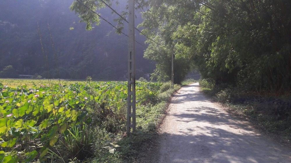 Photo of Others in Hoa Lu
