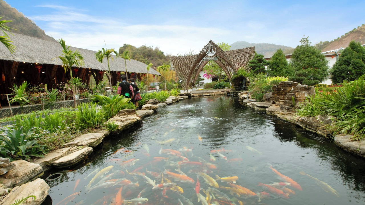 Photo of Outdoor in Moc Chau