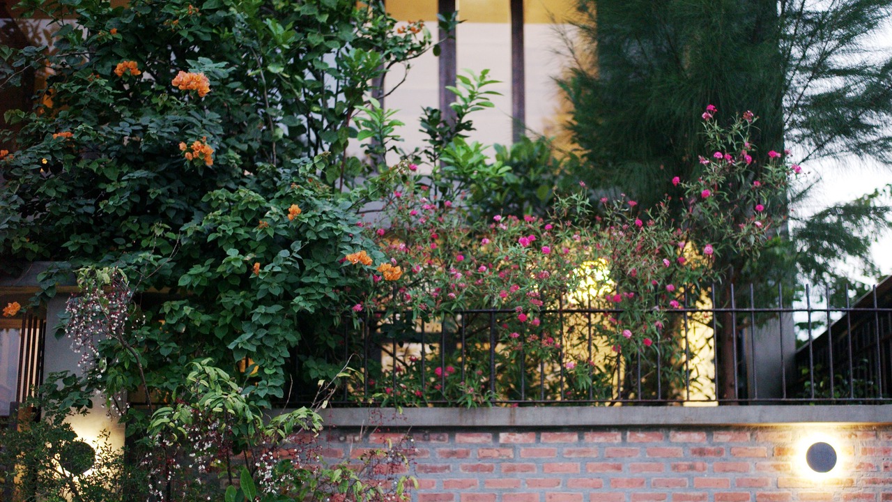 Photo of Outdoor in Hoi An City Centre