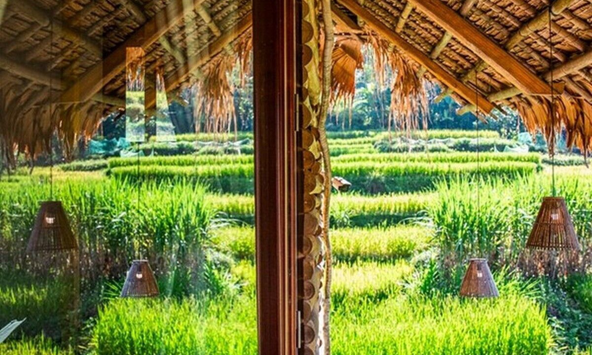 Photo of Outdoor in Pu Long Nature Reserve