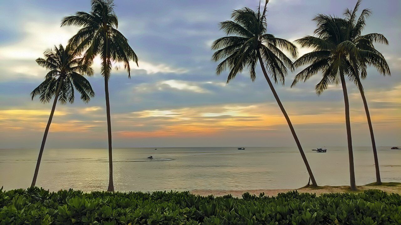 Photo of Others in Ba Keo