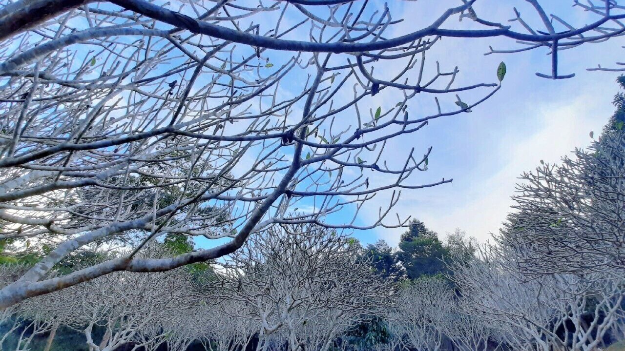 Photo of Outdoor in Bo