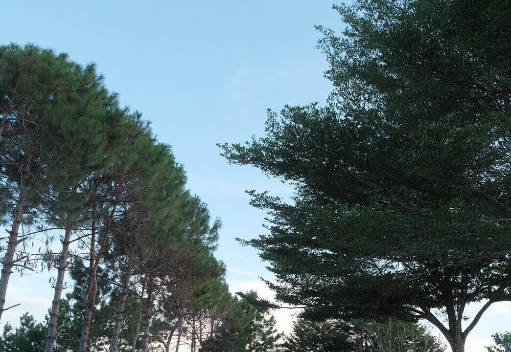Photo of Outdoor in Bo