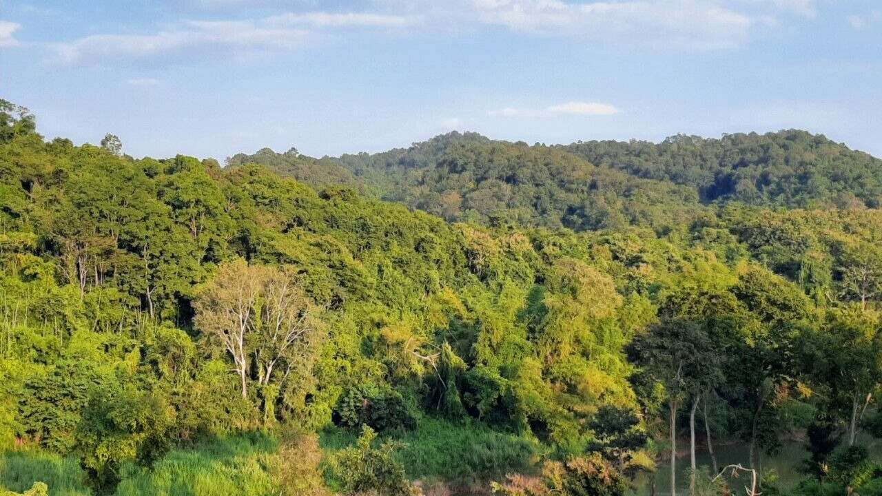 Photo of Outdoor in Bo