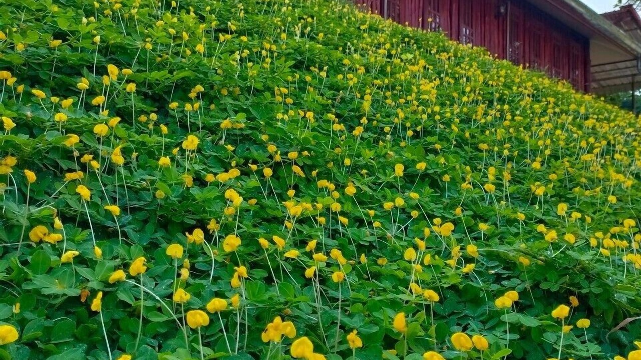 Photo of Outdoor in Bo