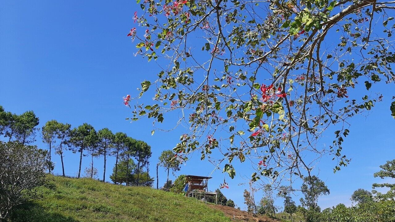 Photo of Outdoor in Bo