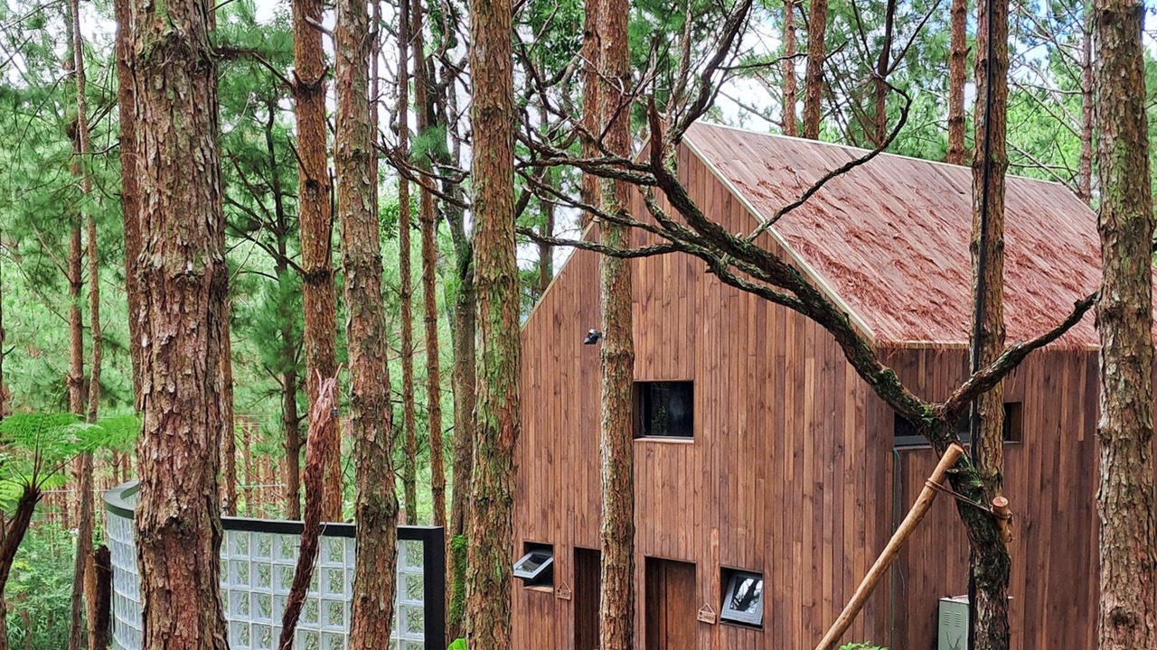 Photo of Outdoor in Da Lat