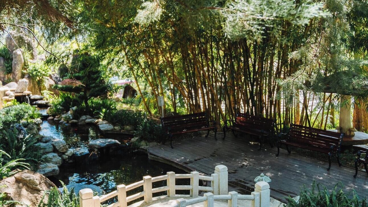Photo of Outdoor in Duc Trong