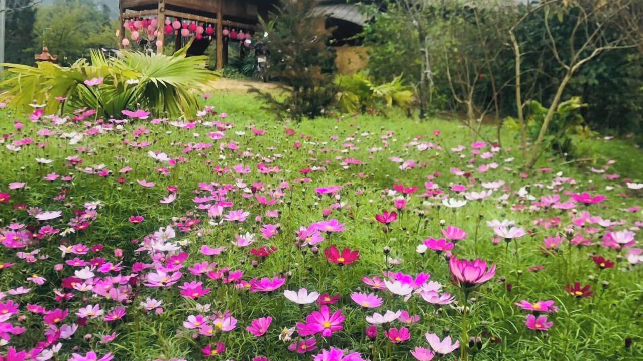 Photo of Outdoor in Yen Minh