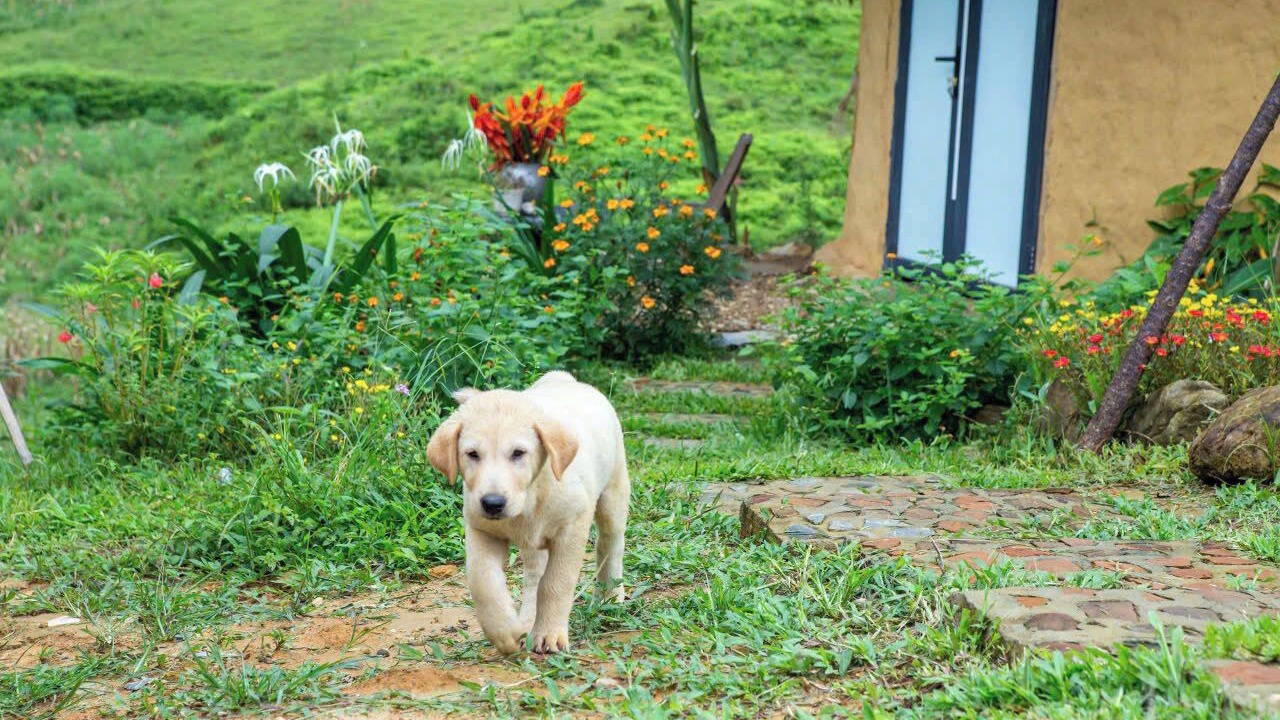 Photo of Outdoor in Yen Minh