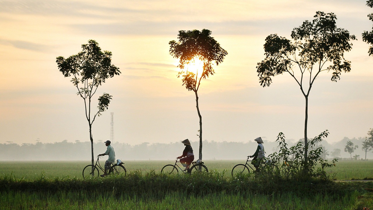 Photo of Outdoor in Hoi An City Centre