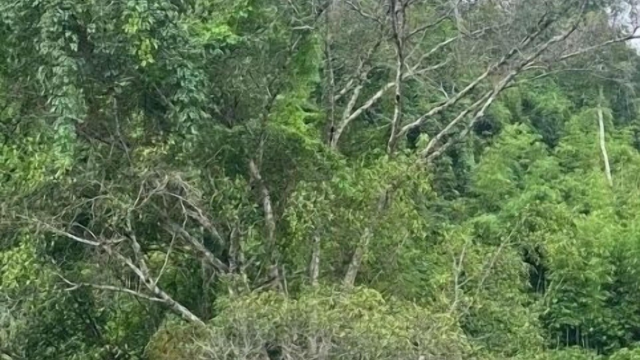 Photo of Outdoor in Vientiane Prefecture