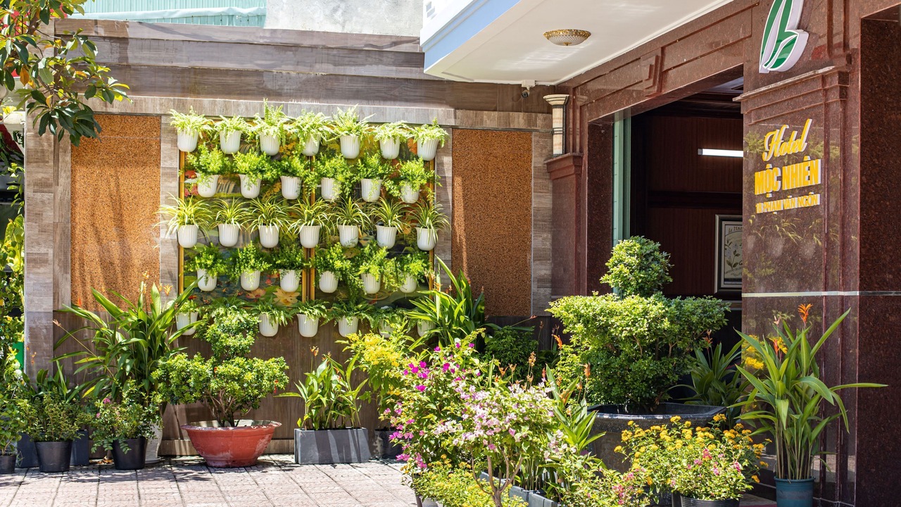 Photo of Outdoor in Lien Chieu