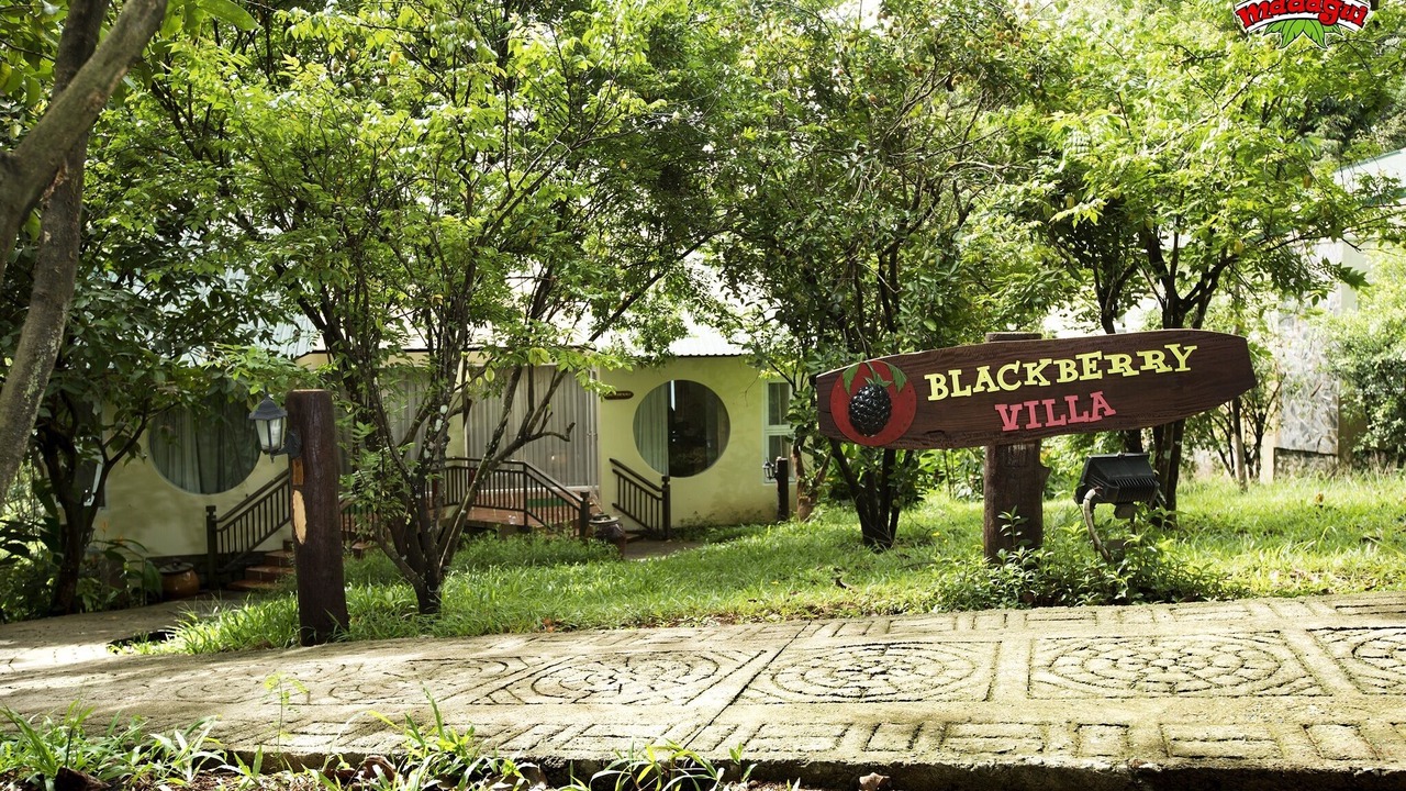 Photo of Outdoor in Madagui Town