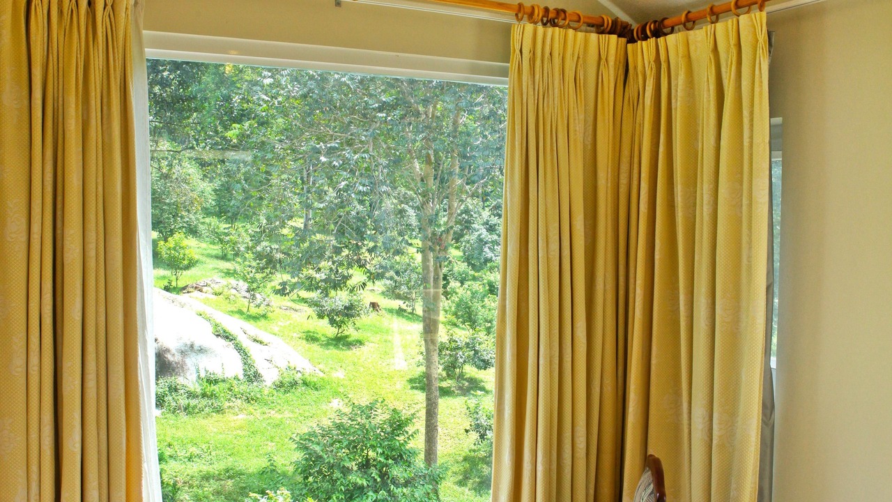 Photo of Outdoor in Madagui Town