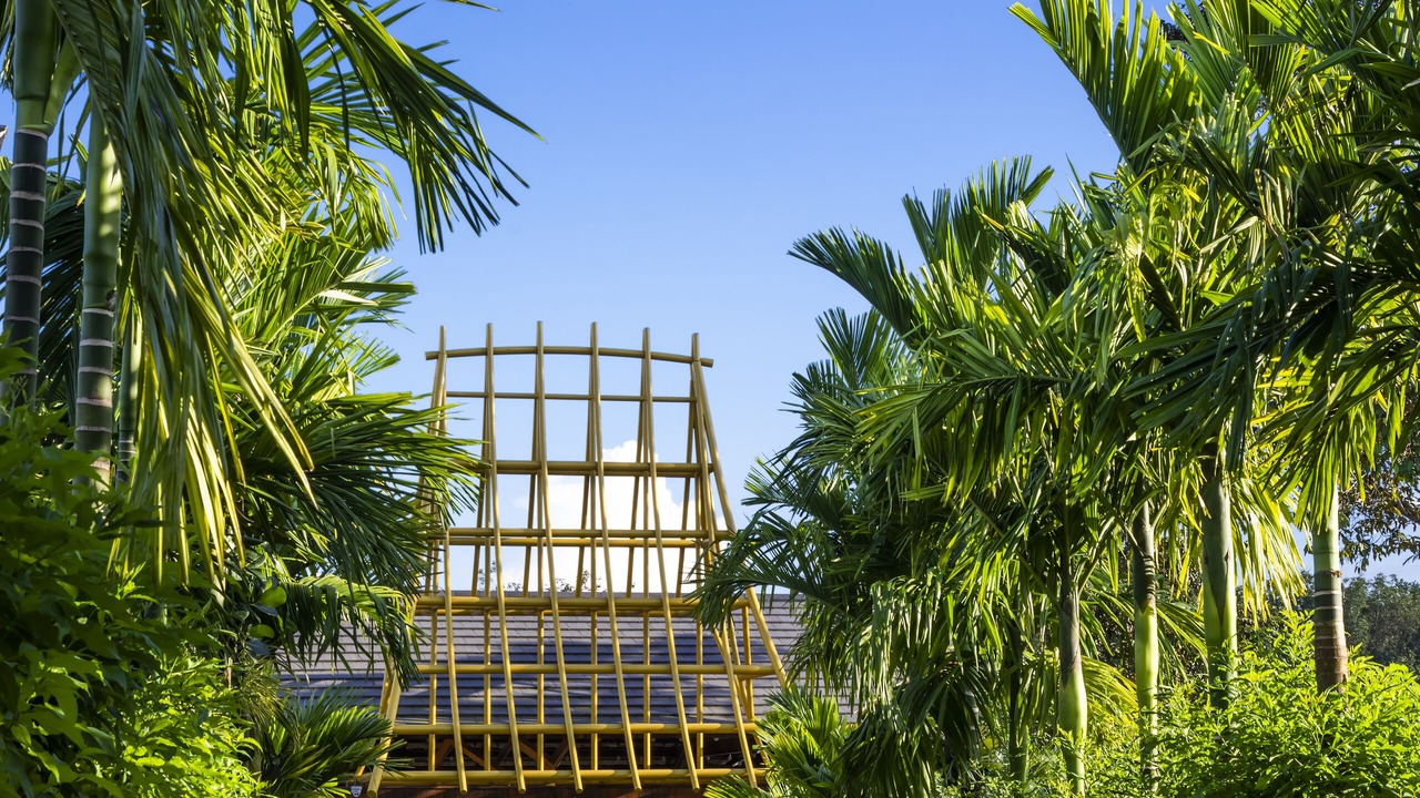 Photo of Outdoor in Buon Ma Thuot