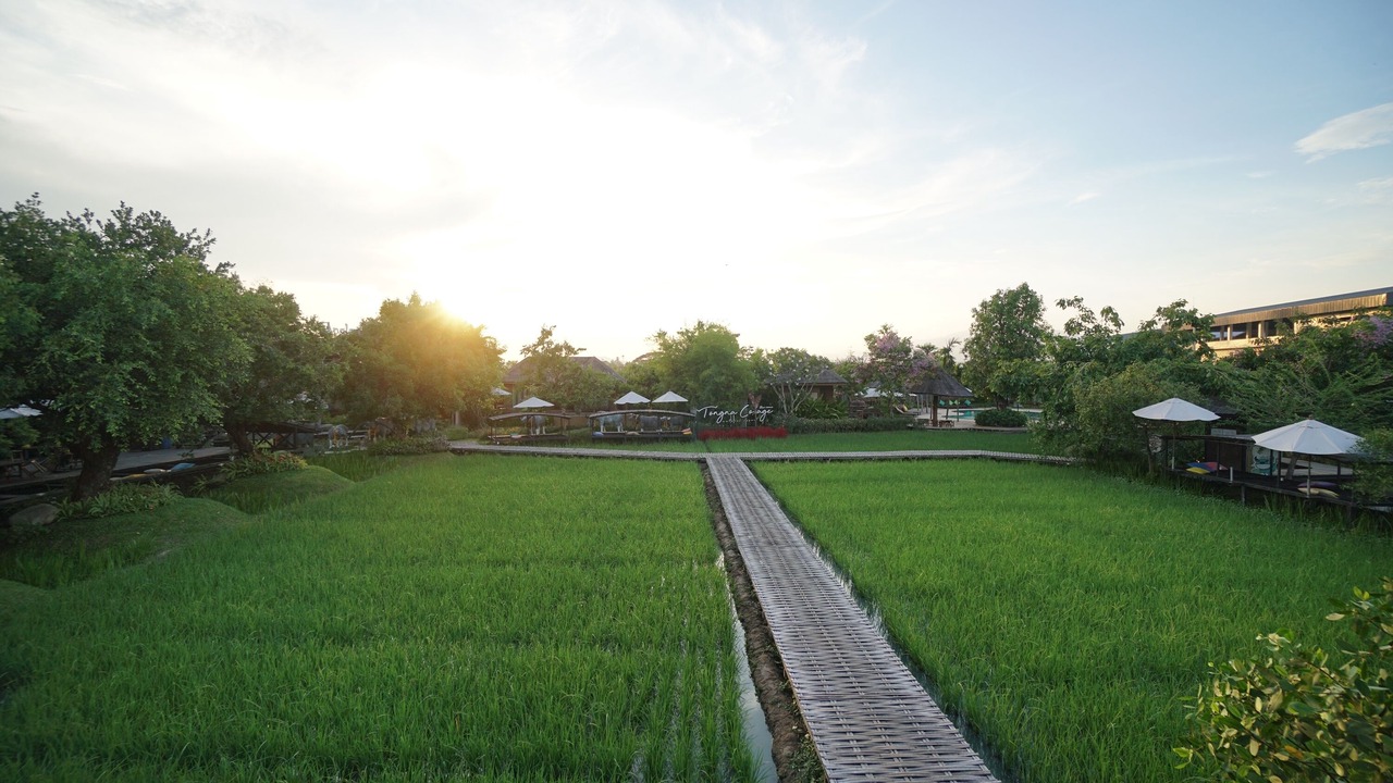 Photo of Others in Hang Dong