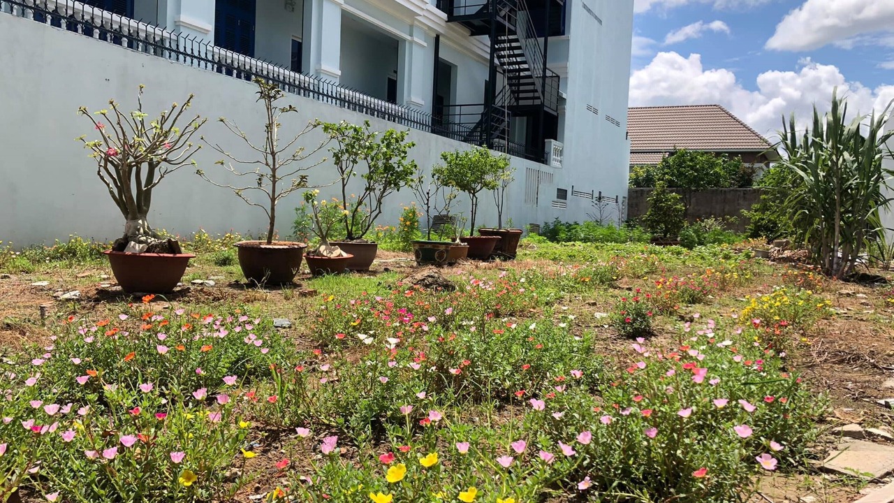 Photo of Outdoor in Ninh Kieu