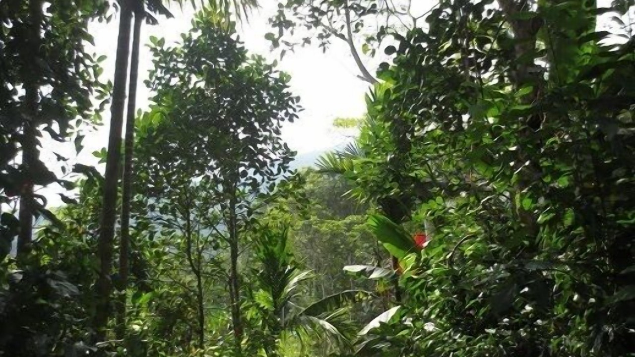 Photo of Outdoor in Kho Muong