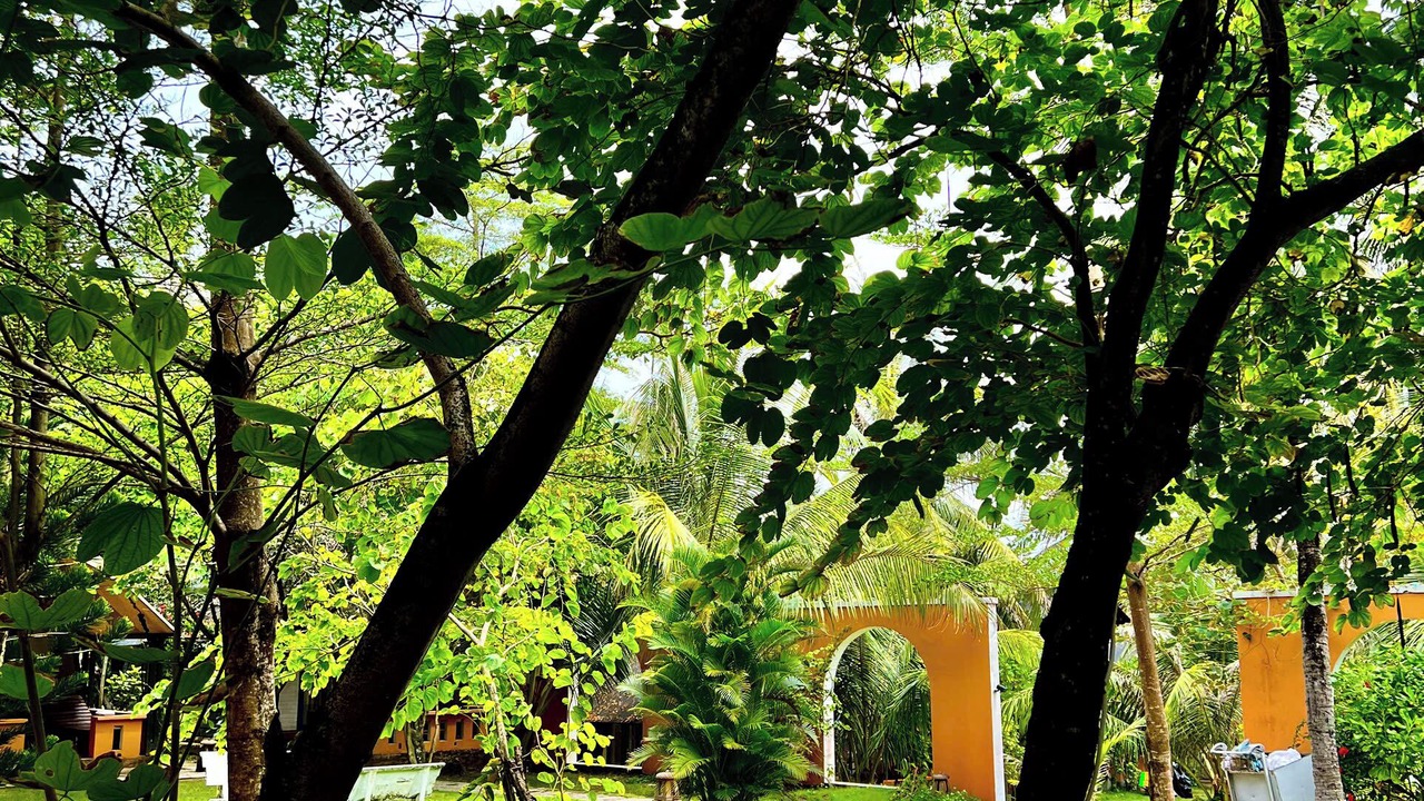 Photo of Bedroom in Ba Keo