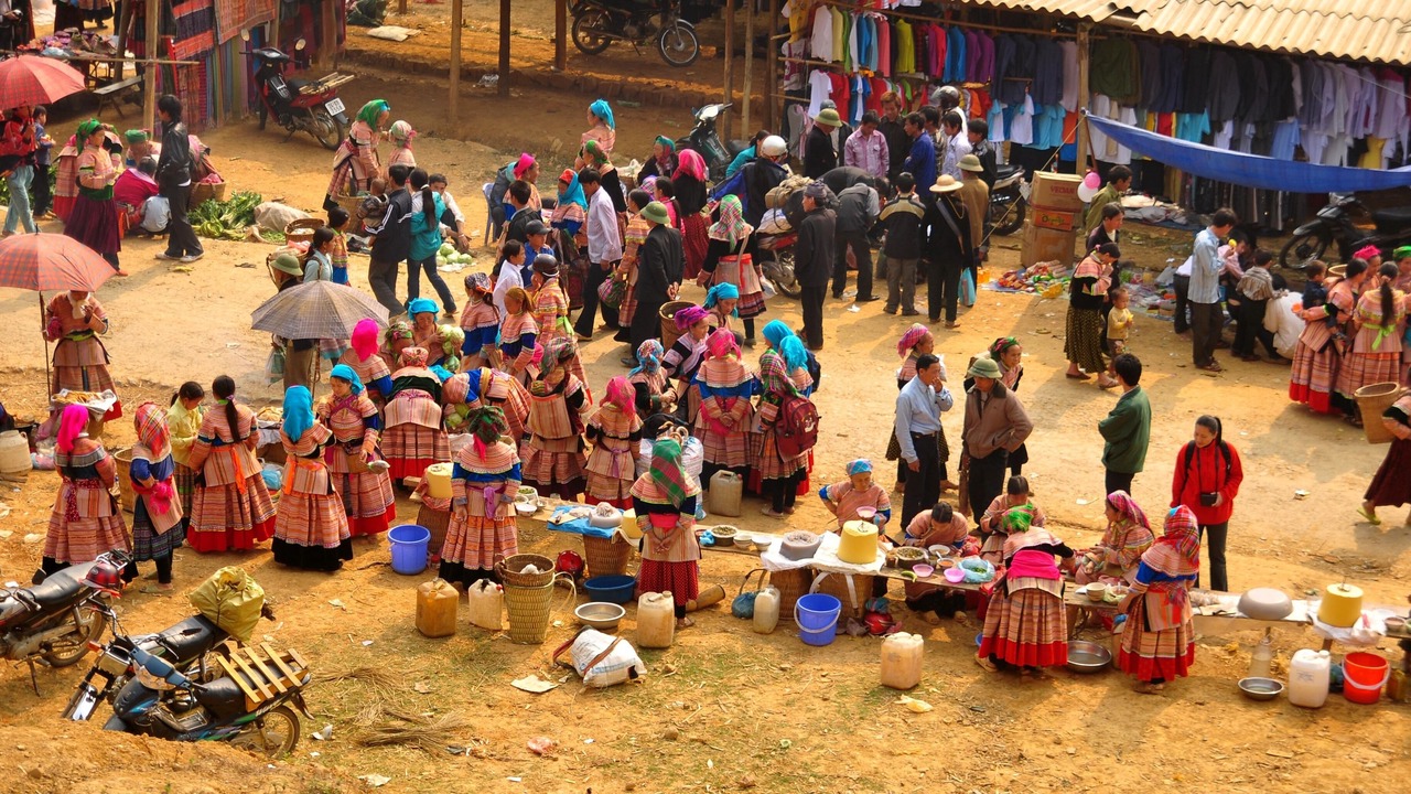 Photo of Others in Tam Duong