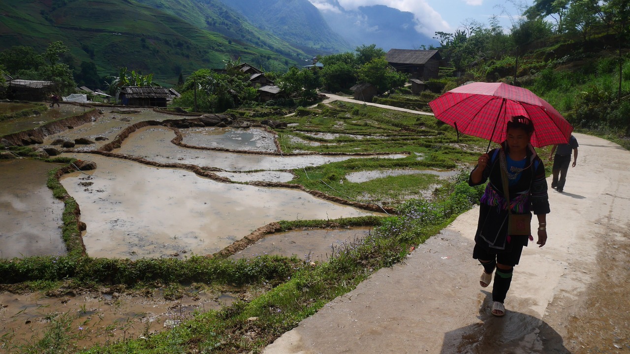 Photo of Outdoor in Hau Thao