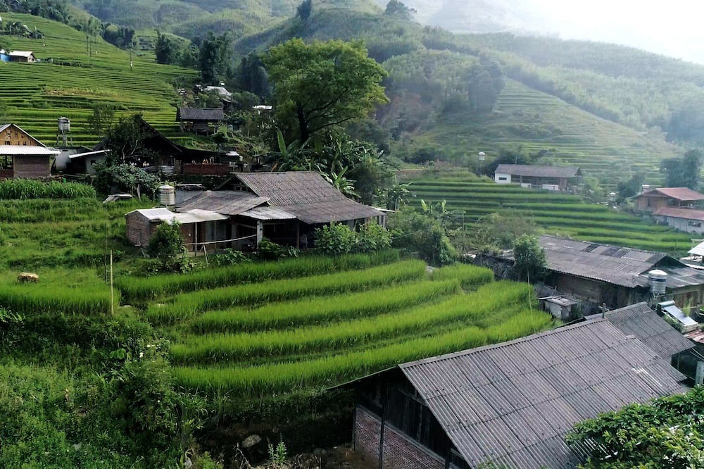 Photo of Outdoor in Sa Pa