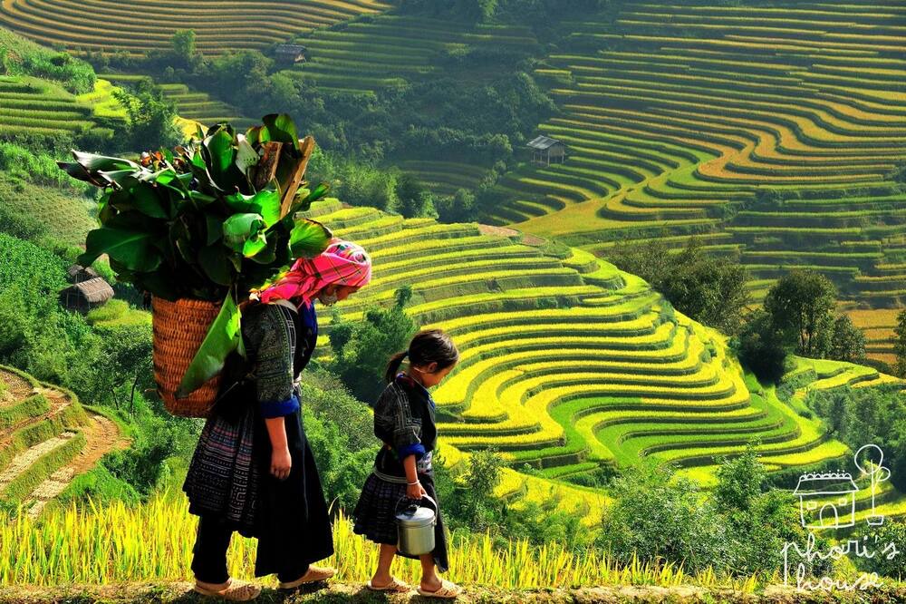 Photo of Others in Sa Pa