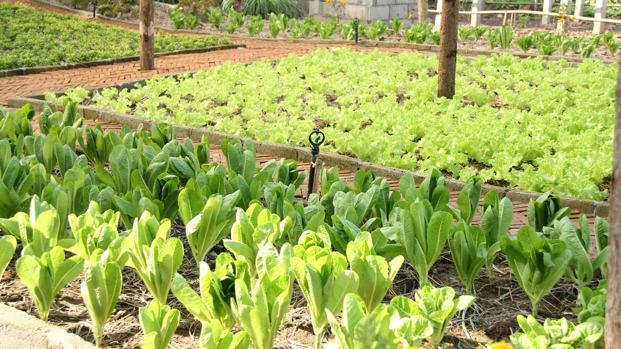 Photo of Outdoor in Luang Prabang