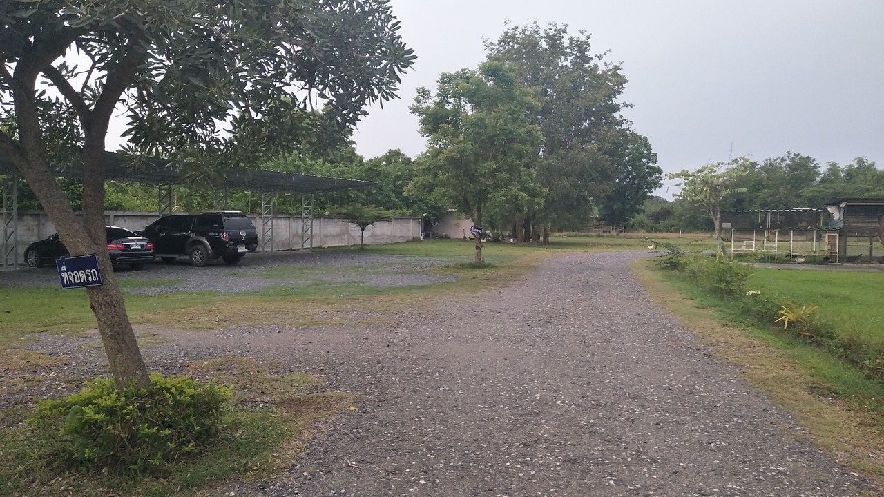 Photo of Others in Phanat Nikhom