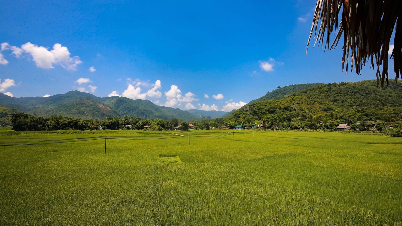 Photo of Outdoor in Mai Chau