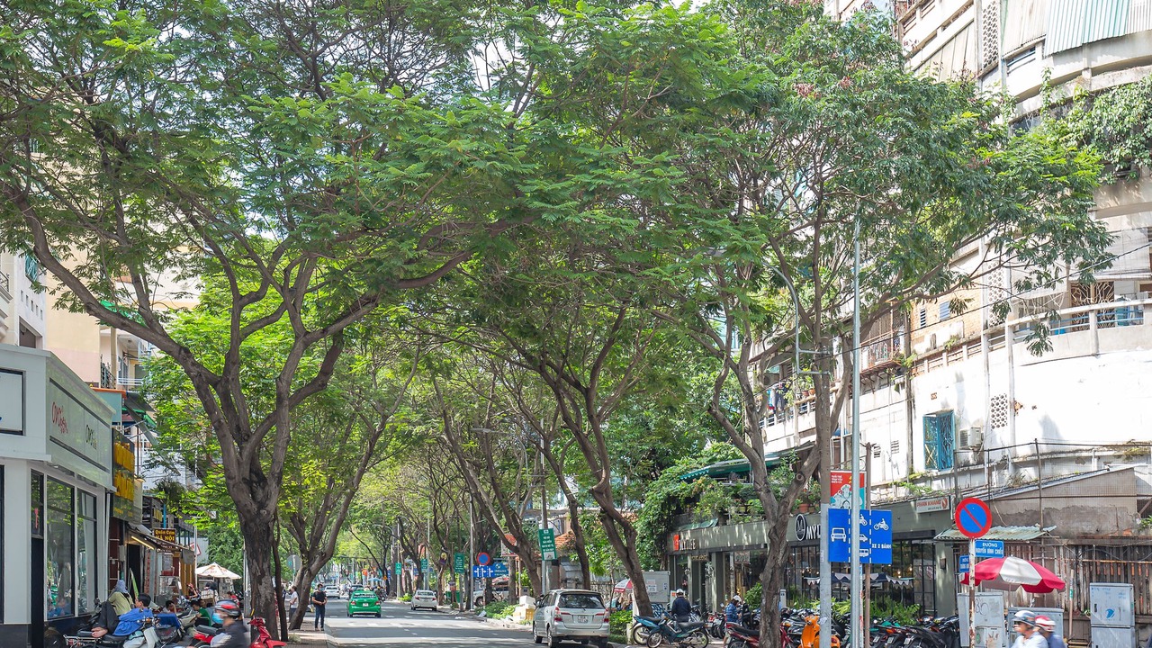 Photo of Others in Phuong 6