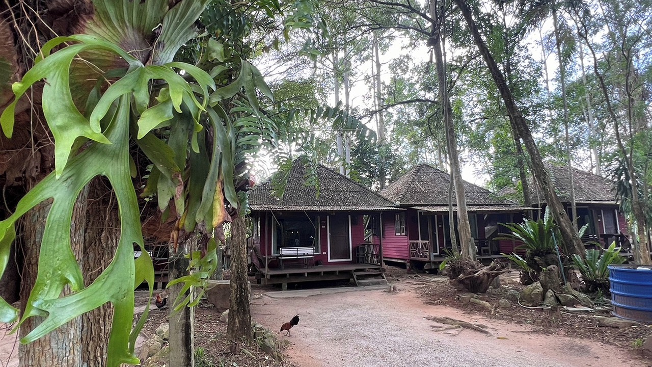 Photo of Outdoor in Hat Yai
