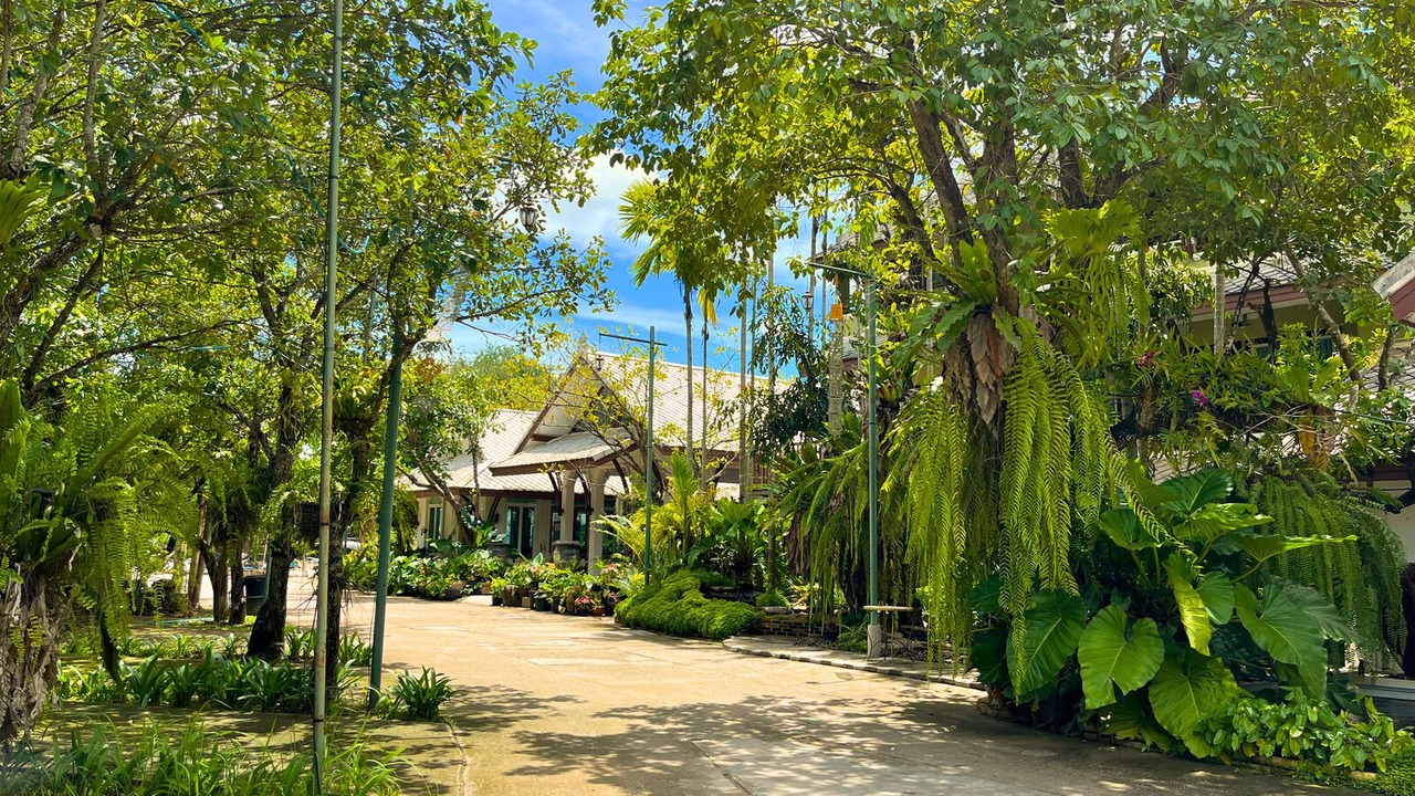 Photo of Outdoor in Lampang