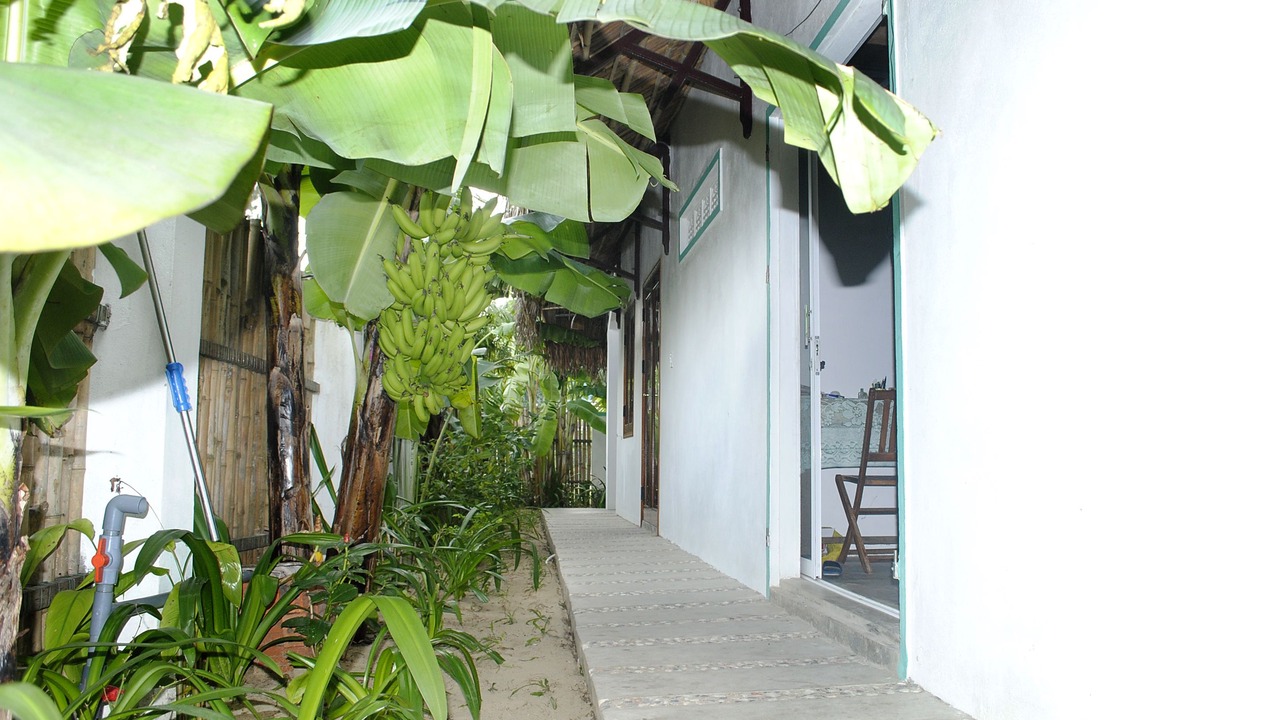 Photo of Bedroom in Cam An