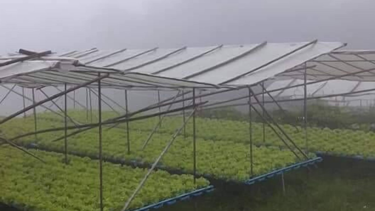 Photo of Outdoor in Khao Kho