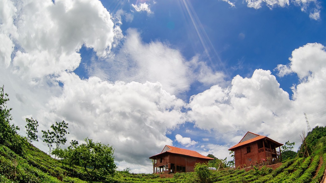 Photo of Outdoor in Moc Chau