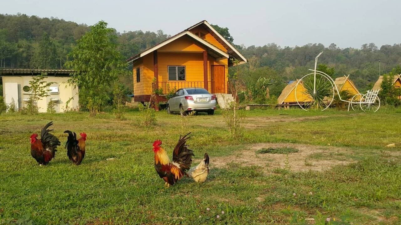 Photo of Others in Pua