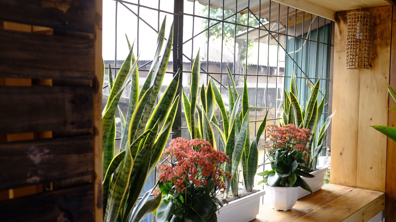 Photo of Patio Balcony in Hang Bai