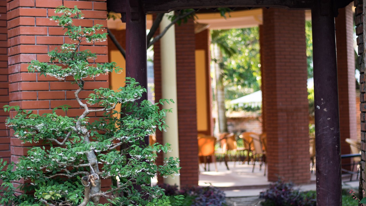 Photo of Outdoor in Thuy Xuan