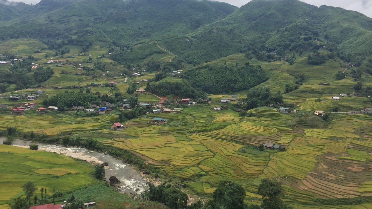 Photo of Others in Hau Thao