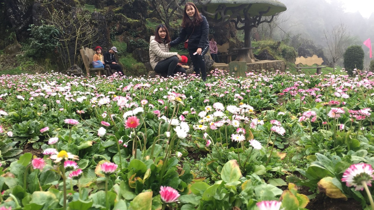 Photo of Outdoor in Hau Thao
