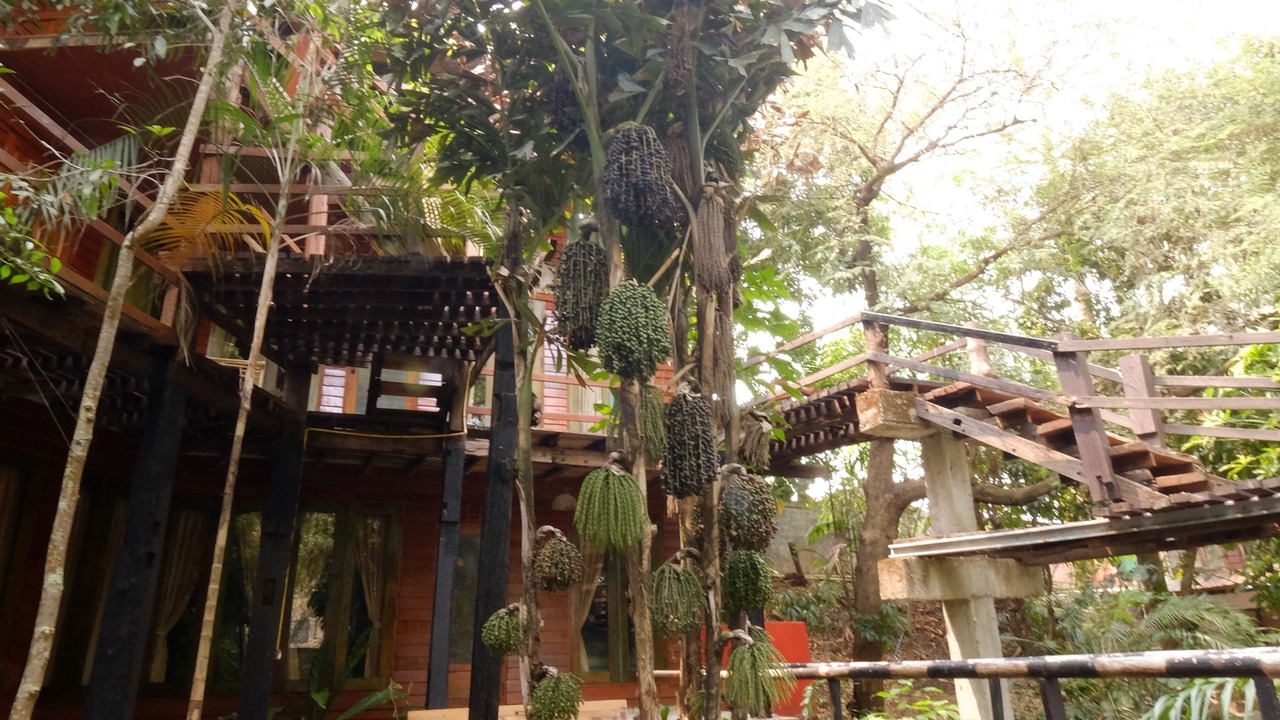 Photo of Outdoor in Mae Sariang