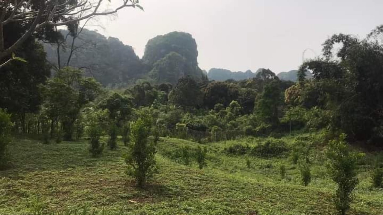 Photo of Outdoor in Phonsavan