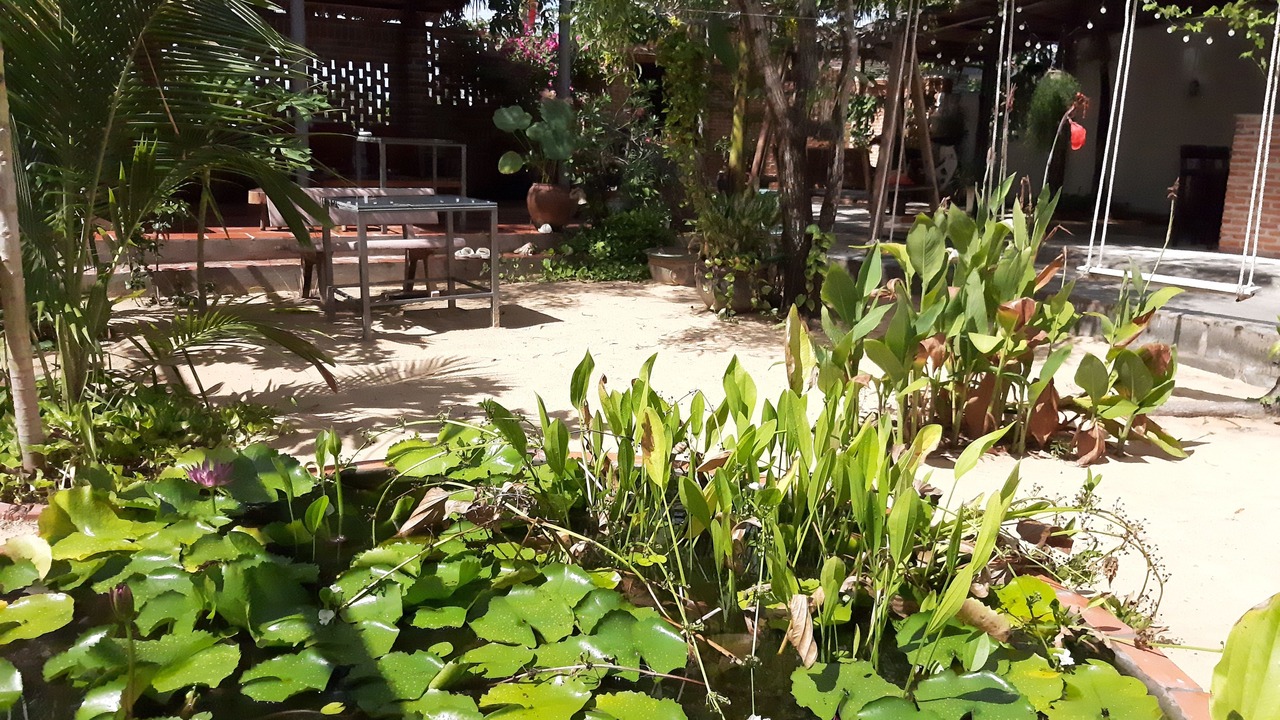 Photo of Outdoor in Old Quarter
