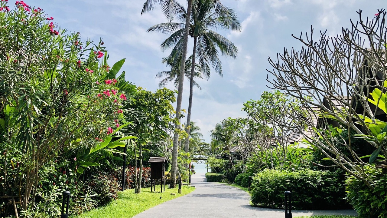Photo of Outdoor in Khanom